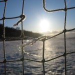 Nothin' But Net