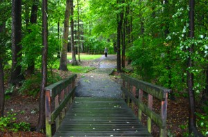 This is the path to school… about 2/3 of the way there and where I encountered Gertrude. That child is not Gertrude. It is Hans. No… it’s not. This pic is about seven years old, but nothing has changed.