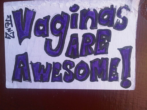 Vaginas Are Awesome