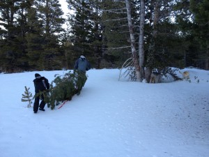 Dragging the tree up the hill