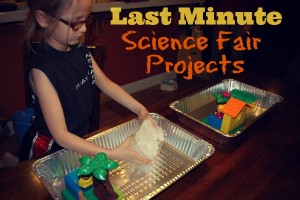 Last Minute Science Fair Projects