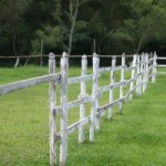 white fence -- grass is always greener on the other side