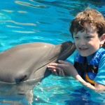 Boy kissing dolphins