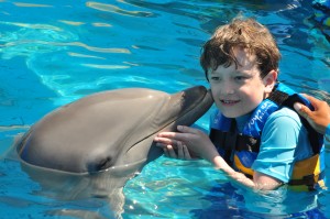 Boy kissing dolphins