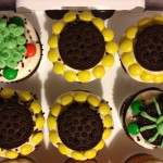 Sunflower cupcakes with Oreos and M&Ms