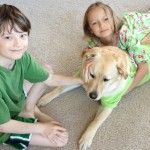 little boy and girl in pajamas with yellow dog in green shirt