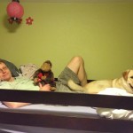 dad and dog lounging on upper bunk bed