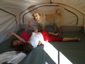 kids wrestling with dog in tent trailer