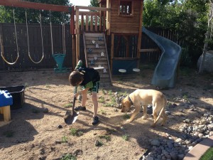 Boy and dog dig up weeds