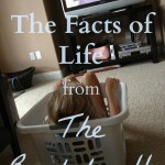 The Facts of Life from the Bachelorette