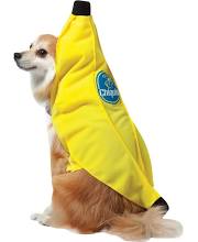 Dog in Banana costume