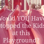 Would YOU Have Stopped the Kids at this Playground?