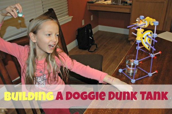Building a Doggie Dunk Tank